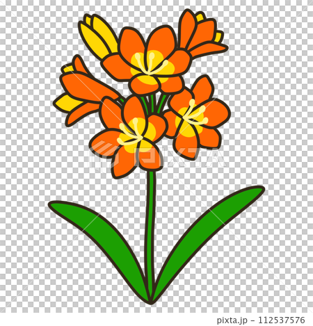 クンシラン 112537576