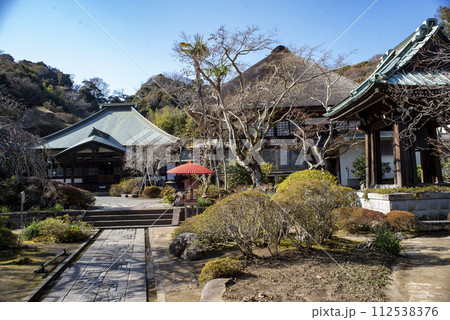 鎌倉243　海蔵寺3　本堂 112538376