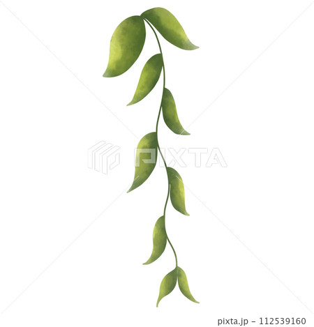 hand painted watercolor saw leaf shape hand painted watercolor saw leaf shape 112539160