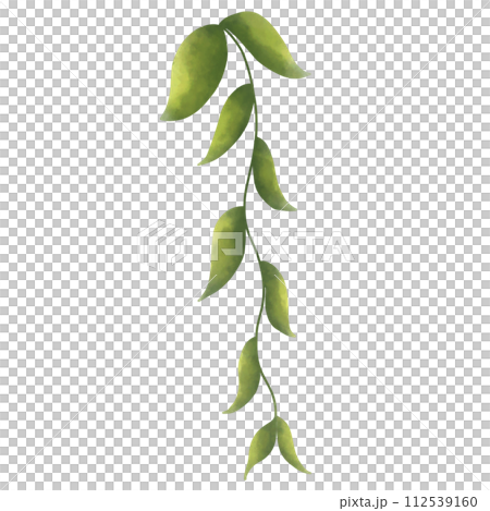 hand painted watercolor saw leaf shape hand painted watercolor saw leaf shape 112539160