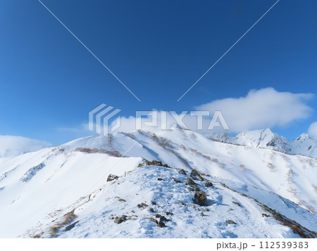 厳冬期の八方池(登山道から見える唐松岳) 112539383