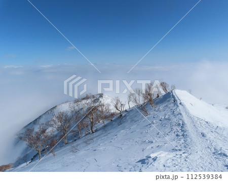 厳冬期の八方池(登山道から見る雲海) 112539384