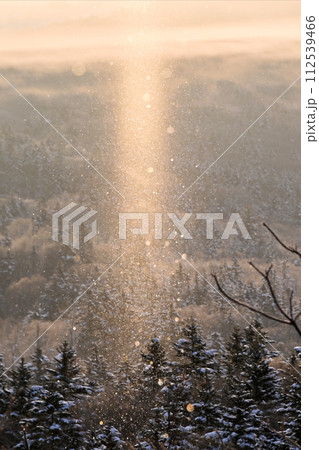 サンピラー 112539466