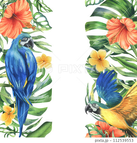 Tropical palm leaves, monstera and flowers of plumeria, hibiscus, bright juicy with blue-yellow macaw parrot. Hand drawn watercolor botanical illustration. Template frame isolated from the background 112539553