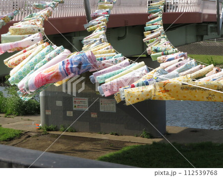 こいのぼり 鶴見川 112539768