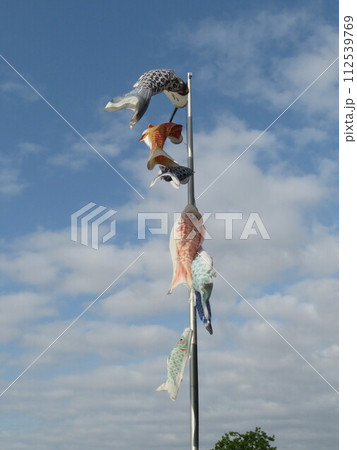 こいのぼり こいのぼり 112539769