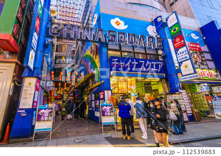 日本の横浜都市景観 中華街大通りから賑わうチャイナスクエアなどを望む 日本の横浜都市景観 中華街大通りから賑わうチャイナスクエアなどを望む 112539883