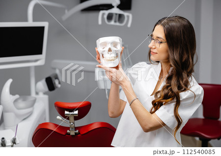 Portrait of female dentist holding skull model and explaining teeth hygiene rules to patient at the camera 112540085
