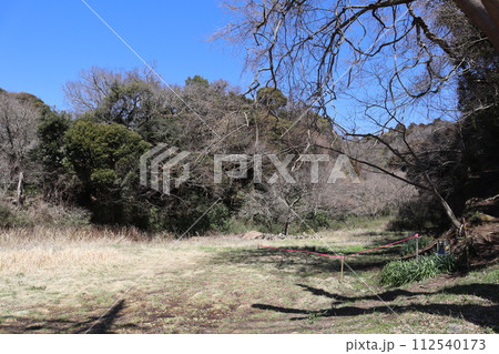 北条氏常盤亭跡（神奈川県鎌倉市常盤） 112540173