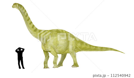 フクイティタン 2007年に発見されたティタノサウルス形類の竜脚類 福井の巨人 フクイティタン 2007年に発見されたティタノサウルス形類の竜脚類 福井の巨人 112540942