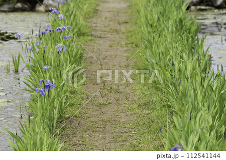 causeway 112541144