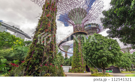 Futuristic view of amazing supertrees at Garden by the Bay timelapse hyperlapse in Singapore. Futuristic view of amazing supertrees at Garden by the Bay timelapse hyperlapse in Singapore. 112541321