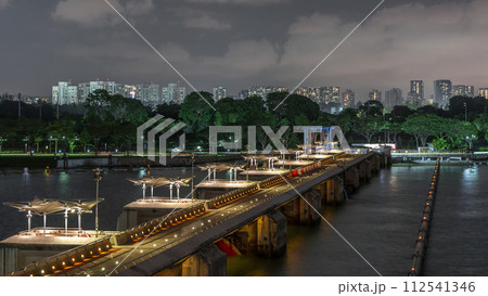 Aerial view Singapore city skyline with bridge at Marina barrage garden night timelapse. 112541346