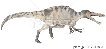 Suchomimus=スコミムス 現在のニジェール辺りに棲息したワニもどき Suchomimus=スコミムス 現在のニジェール辺りに棲息したワニもどき 112541864