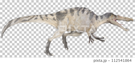 Suchomimus=スコミムス 現在のニジェール辺りに棲息したワニもどき Suchomimus=スコミムス 現在のニジェール辺りに棲息したワニもどき 112541864