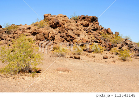 Central and Bleak Sonora Desert Arizona Central and Bleak Sonora Desert Arizona 112543149