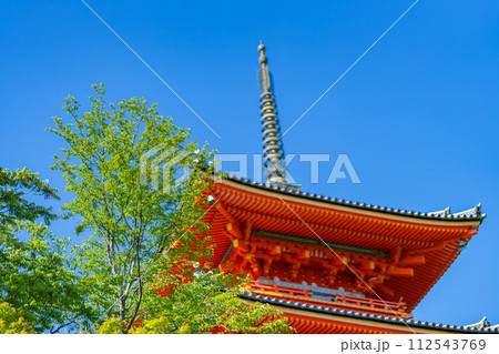 京都府 京都市 東山区 清水寺 関西 近畿地方 鳥居 夏 観光 神社 仏閣 寺 伝統文化 参拝 木造 京都府 京都市 東山区 清水寺 関西 近畿地方 鳥居 夏 観光 神社 仏閣 寺 伝統文化 参拝 木造 112543769