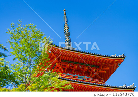 京都府　京都市　東山区　清水寺　関西　近畿地方　鳥居　夏　観光　神社　仏閣　寺　伝統文化　参拝　木造 112543770