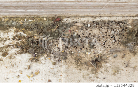 Dirt and mould on the floor, very dirty tiles, the concept of cleaning in the house. 112544329