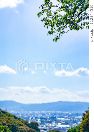京都府 京都市 関西 近畿地方 鳥居 夏 観光 神社 仏閣 寺 伝統文化 参拝 見下ろし 市街地 京都府 京都市 関西 近畿地方 鳥居 夏 観光 神社 仏閣 寺 伝統文化 参拝 見下ろし 市街地 112544516