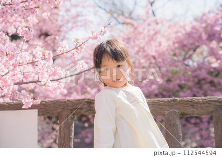 桜を見つめる女の子 112544594
