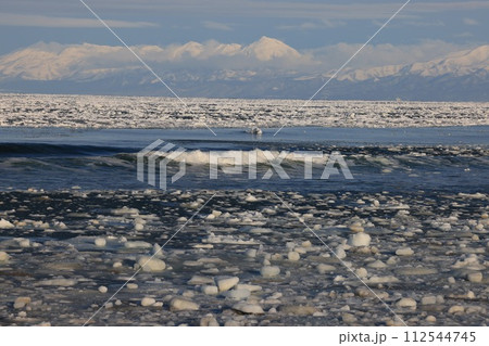 押し寄せる流氷 押し寄せる流氷 112544745