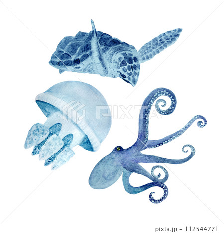 Watercolor hand-drawn sea turtle, jellyfish, octopus isolated on white Watercolor hand-drawn sea turtle, jellyfish, octopus isolated on white 112544771