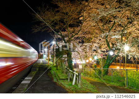 ライトアップされた夜桜の駅を通過する列車 112546025