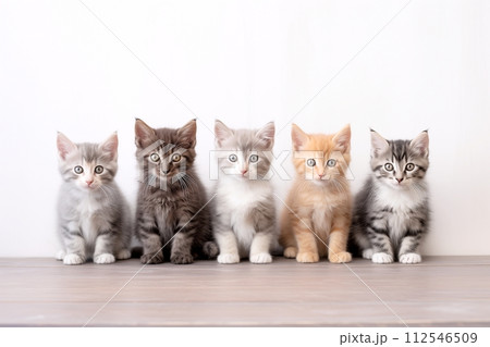 5匹の可愛い子猫「AI生成画像」 112546509
