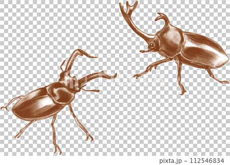 かっこいいカブトムシとクワガタ 112546834