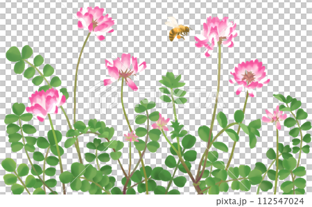 ミツバチが飛ぶれんげ畑 水彩タッチイラスト ミツバチが飛ぶれんげ畑 水彩タッチイラスト 112547024