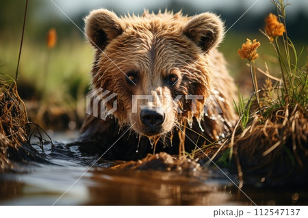 Brown bear fishing in a river. Generative AI 112547137