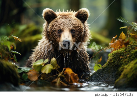 Brown bear fishing in a river. Generative AI 112547138