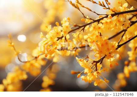 Forsythia blossom on bush. Generative AI 112547846