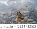 池と石 112548302