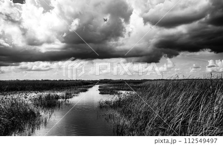 Cloudy skies above the open Florida Everglades grasslands with pathway Cloudy skies above the open Florida Everglades grasslands with pathway 112549497