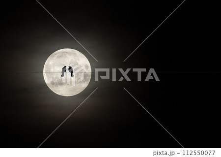 Two birds on a wire or electric line on the night sky with huge moon background. Relationship romantic Concept 112550077