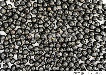 Summer fresh black currant berries. Background of sweet ripe black currant. Summer fresh black currant berries. Background of sweet ripe black currant. 112550380