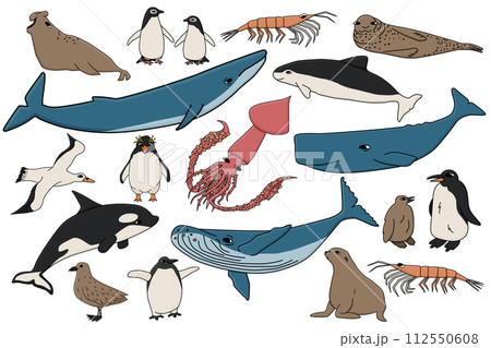 Vector set of colorful animals in Antarctica. Hand drawn outline collection of whales, penguins, skua, krill, seals, porpoise. 112550608