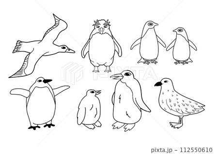 Vector black white line set of isolated animals in Antarctica. Hand drawn outline adelie, king, emperor, macaroni penguins, skua, albatross. 112550610