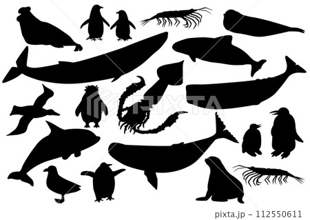 Vector silhouett shape black set of animals in Antarctica. Hand drawn collection of whales, penguins, skua, krill, seals, porpoise. 112550611