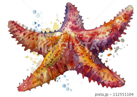 A Watercolor Painting of a Starfish 112551104
