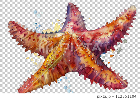 A Watercolor Painting of a Starfish 112551104
