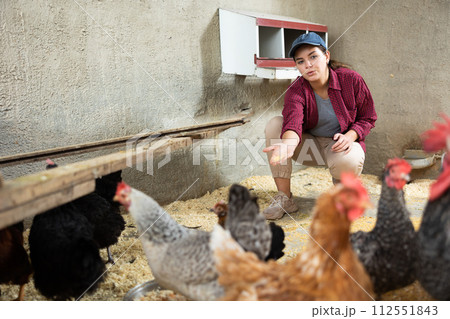 Young female farm worker hand-feeding hens Young female farm worker hand-feeding hens 112551843