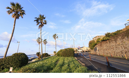 美しい海岸の風景 112551866