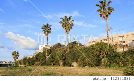 美しい海岸の風景 112551881