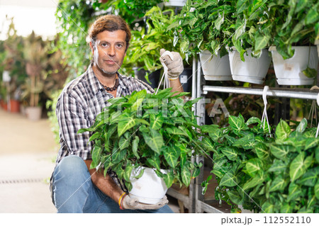 Man customer chooses singonuim green flower in flower shop 112552110
