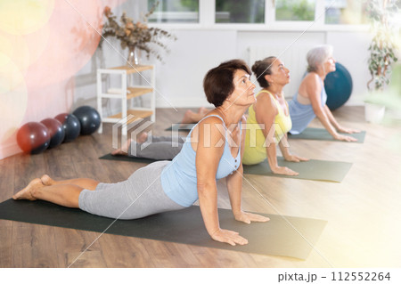 Group of elderly woman doing yoga on mat in studio Group of elderly woman doing yoga on mat in studio 112552264