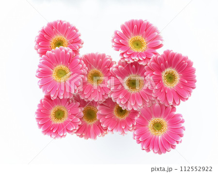ガーベラの切り花 112552922