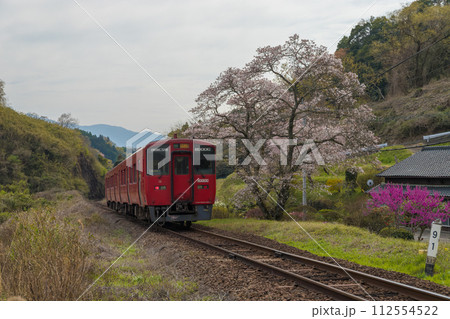 線路と列車と桜(大分県竹田市) 線路と列車と桜(大分県竹田市) 112554522